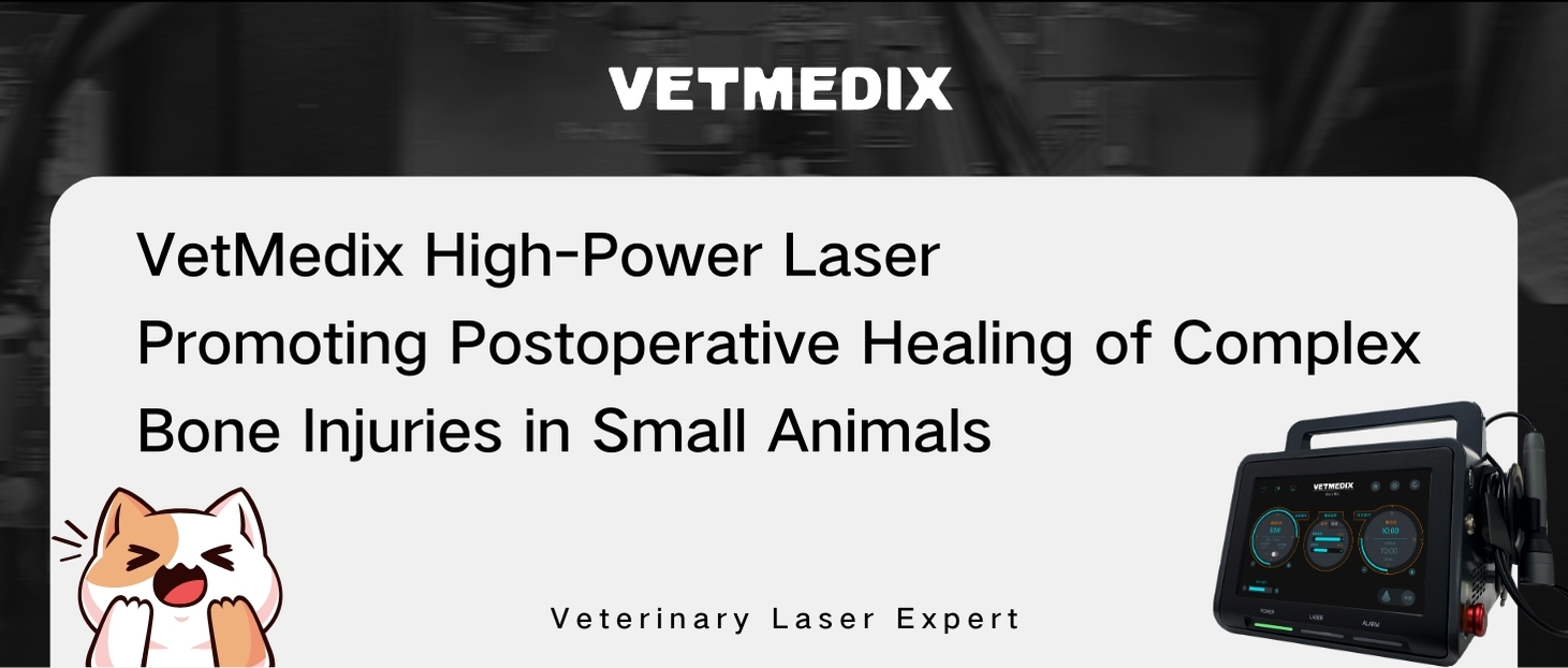 VetMedix Case Sharing丨Potentzia handiko laser bidezko tratamendua animalien tibiofibular haustura sekundarioa