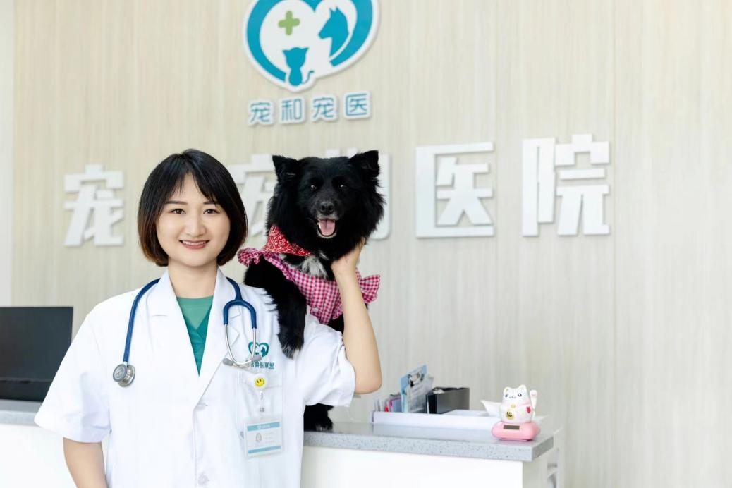 VETMEDIX Case Sharing丨Potentzia handiko laser kirurgia belarriko hematomarako