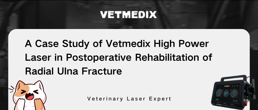 VetMedix kasua partekatzen 丨 Potentzia handiko laser terapia Ulna erradialaren errehabilitazio osteko errehabilitazioan